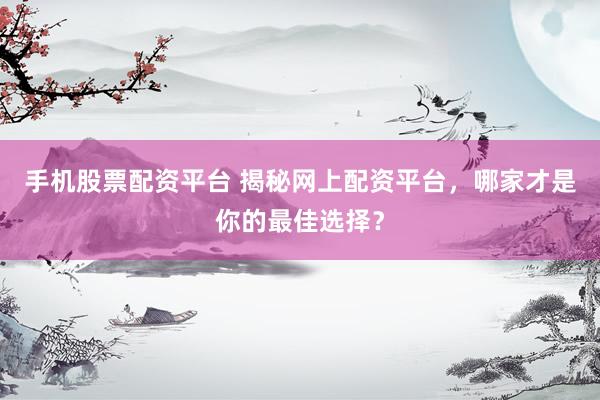 手机股票配资平台 揭秘网上配资平台，哪家才是你的最佳选择？