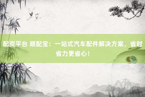 配资平台 顺配宝：一站式汽车配件解决方案，省时省力更省心！