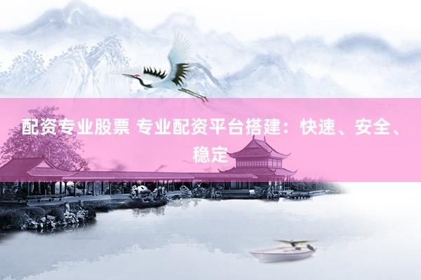 配资专业股票 专业配资平台搭建：快速、安全、稳定