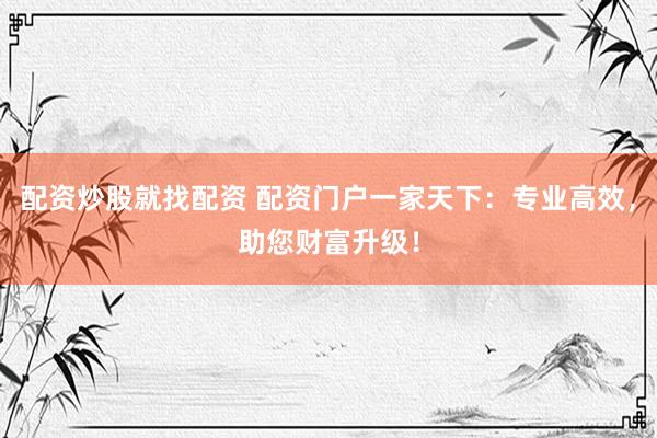 配资炒股就找配资 配资门户一家天下：专业高效，助您财富升级！