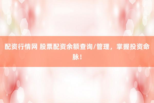 配资行情网 股票配资余额查询/管理，掌握投资命脉！