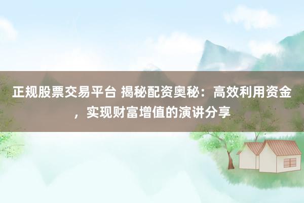 正规股票交易平台 揭秘配资奥秘：高效利用资金，实现财富增值的演讲分享