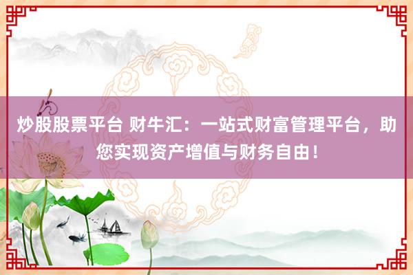 炒股股票平台 财牛汇:一站式财富管理平台,助您实现资产增值与财务自由!