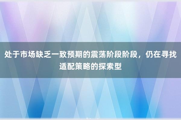 处于市场缺乏一致预期的震荡阶段阶段,仍在寻找适配策略的探索型