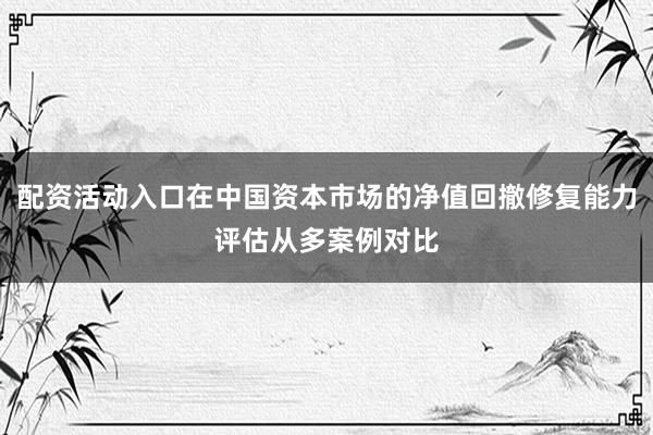 配资活动入口在中国资本市场的净值回撤修复能力评估从多案例对比