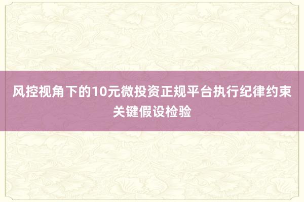风控视角下的10元微投资正规平台执行纪律约束关键假设检验