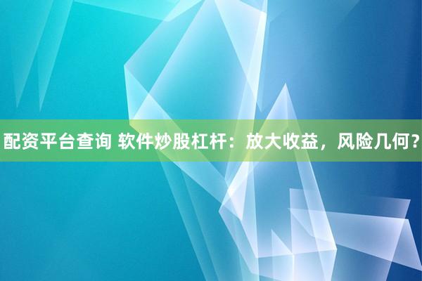 配资平台查询 软件炒股杠杆：放大收益，风险几何？