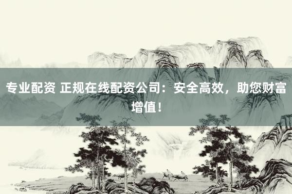 专业配资 正规在线配资公司：安全高效，助您财富增值！